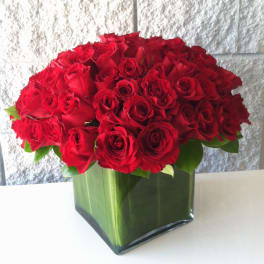 100 Roses in a Square Glass Vase - My Beverly Hills Florist