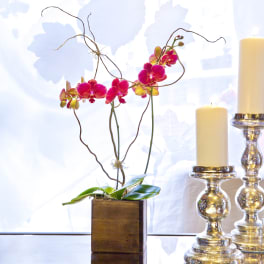 Orchid arrangement in a wooden cube with two candles beside it