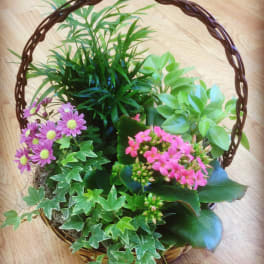 Basket of potted plants and pink daisy flowers