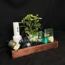 Houseplant gift basket with a potted plant and care items in a wooden tray