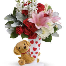 Send a Hug You're Fur Me by Teleflora