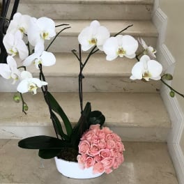 2 Orchids arranged with 12 Pink Roses in a ceramic container.