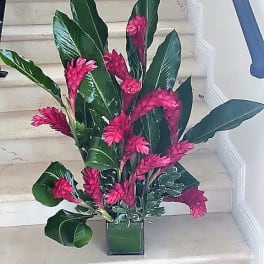 Tall tropical arrangement with bright pink flowers and large green leaves in a square glass vase