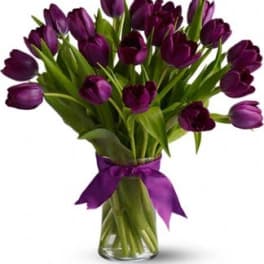 Arrangement of dark purple tulips in a clear glass vase tied with a purple ribbon