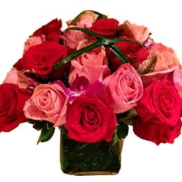 Compact arrangement of red and pink roses in a square glass vase with a looping green accent.