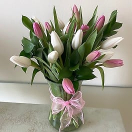 Pink and white tulips arranged in a clear glass vase tied with a pink ribbon bow