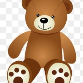Plush Teddy Bear