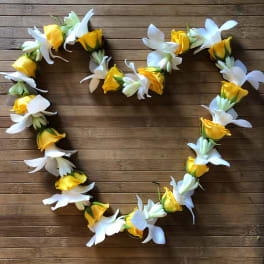 orchid, spray rose, tuberose lei