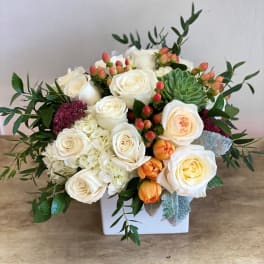 White roses and succulents arranged in a white box