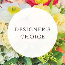Designer's Choice