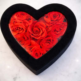 Heart-shaped black box filled with red roses under a clear lid on a light surface