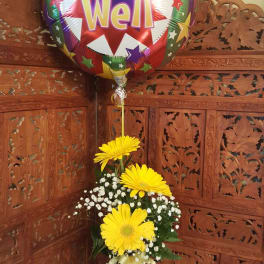 The Gerbera Daisy get well soon with balloon