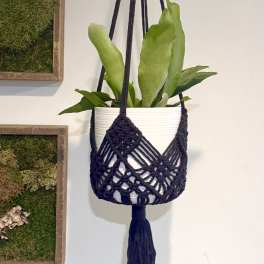 Black macrame hanger with a plant