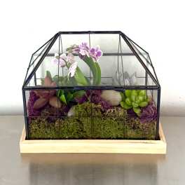 Mini Greenhouse Orchid Terrarium – Modern Glass Succulent Garden