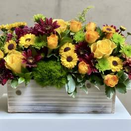 Yellow roses and burgundy daisies in a wooden box