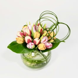 Tulip arrangement in a round glass vase with decorative loops