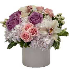 Low pastel arrangement of lavender and pink roses, orchids, and hydrangeas in a white cylinder vase