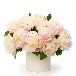 Low arrangement of pale pink and white peonies in a simple white cylinder vase