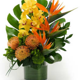 Tropical arrangement with yellow orchids, orange birds of paradise and protea in a green-wrapped glass cylinder vase