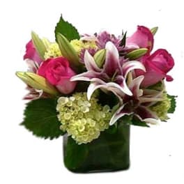 Compact arrangement of pink roses, lilies, and green hydrangea in a square glass vase