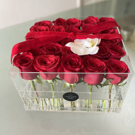 Red roses arranged in a clear acrylic box with a ribbon and white orchid accent