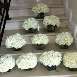 Multiple white hydrangea arrangements in square glass vases lined on marble stairs