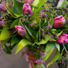 Pink tulips with purple accents and green foliage in a bouquet