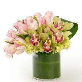 Compact arrangement of pink tulips, green orchids, and hydrangea in a clear glass vase wrapped with green.