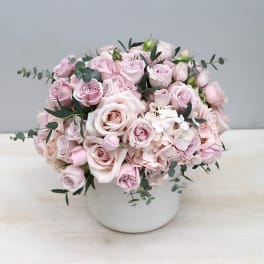 Compact arrangement of pale pink roses and hydrangeas in a white ceramic pot