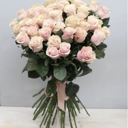 Light Pink Rose Special - WeHo