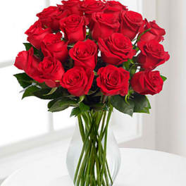 Red Long Stem Roses - VASE INCLUDED