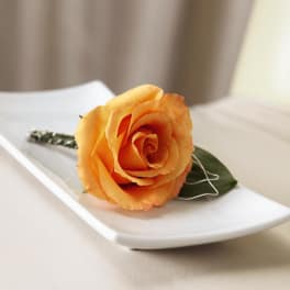 FTD New Sunrise Boutonniere