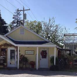 Yellow florist shop with potted plants and flower displays outside
