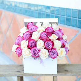 Box of pink, purple, and white roses