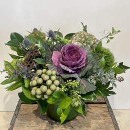 Purple ornamental cabbage arrangement in a green container with mixed foliage