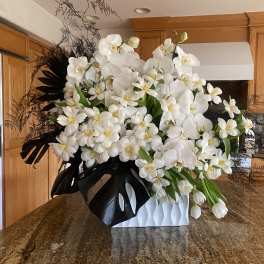 White orchid and tulip arrangement in a white vase