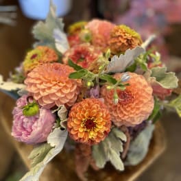 Bouquet of peach and pink dahlias with silvery foliage