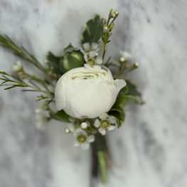 White ranunculus boutonniere