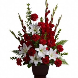 T227-1A Teleflora's Tender Tribute