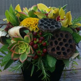 Mixed bouquet with succulents, yellow orchids, and lotus pods in a black vase