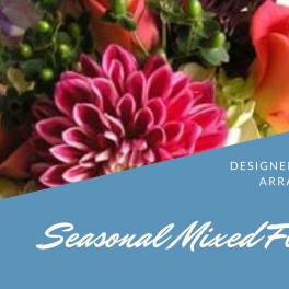 Designer's Choice - Seasonal Mixed Arrangement