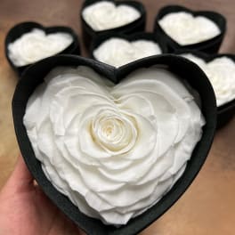 White rose in a black heart-shaped box