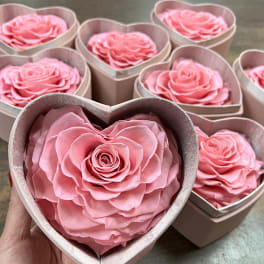 Preserved rose in heart box PINK