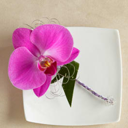 Pink orchid bloom on a white square plate with a braided cord