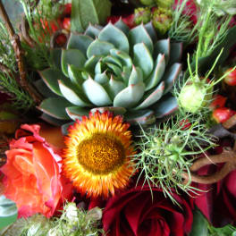 Mixed bouquet with a large succulent, red roses, and orange blooms