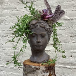 Succulent arrangement in a dark bust planter with trailing stems and spotted feathers