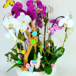 Orchid arrangement in a white bowl with butterflies and a small llama figurine
