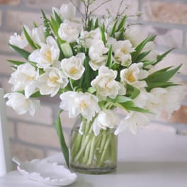 White tulips in a clear glass vase with green leaves