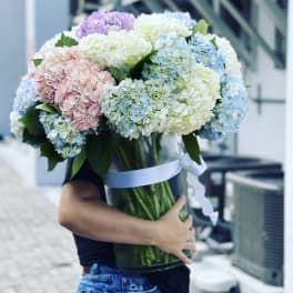 Large bouquet of pastel hydrangeas in a glass vase with a ribbon