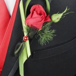 Red rose boutonniere with green accents on a black suit lapel